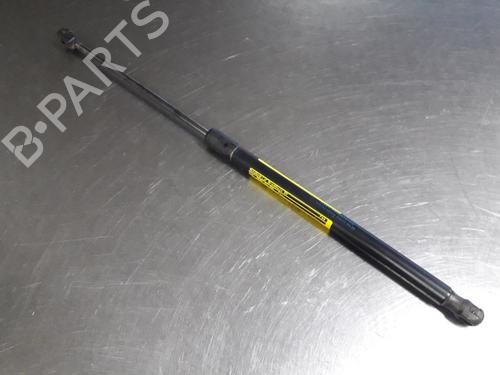 Used Tailgate lift support FORD FIESTA VI (CB1, CCN) 1.25 (60 hp) 22469870