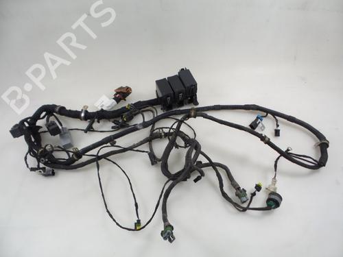 Used Wiring harness FERRARI F430 Spider F430 (486 hp) 22479342