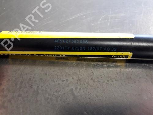 Tailgate lift support AUDI A6 C6 (4F2) 2.7 TDI | BP22455081C138 