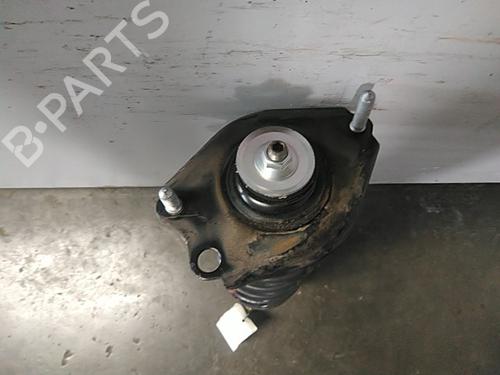 Right rear shock absorber TOYOTA COROLLA Verso (ZER_, ZZE12_, R1_) 1.8 (ZNR11_, ZNR11R) | BP22460060M19 