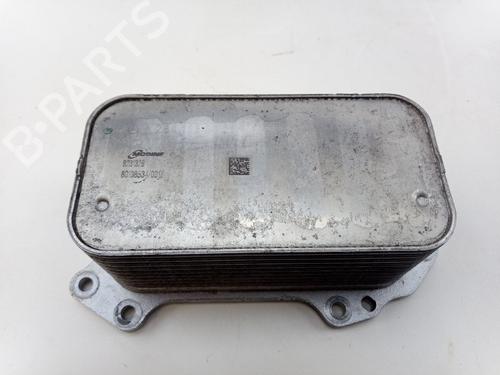 Used Oil radiator MERCEDES-BENZ E-CLASS Coupe (C238) E 200 EQ Boost (238.380) (197 hp) 30818296