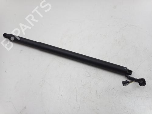 Vérin de coffre/hayon POLESTAR POLESTAR 2 (534) EV (224 hp) 31836391