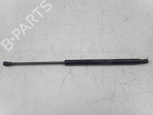 Used Tailgate lift support FIAT 500 (312_) 1.2 (312AXA1A) (69 hp) 22496100