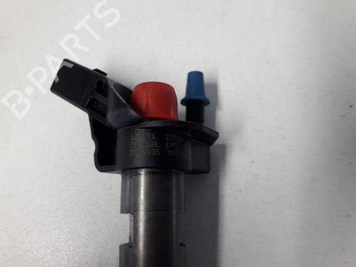 Injector AUDI A4 B7 Avant (8ED) 2.7 TDI | BP22498335M100 