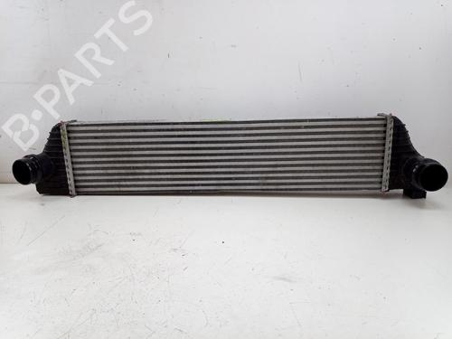 Intercooler RENAULT MASTER III Platform/Chassis (EV, HV, UV) 2.3 dCi 145 FWD (EV0E, EV0F, HV0E, HV0F, UV0E, UV0F,... (146 hp) 25794908