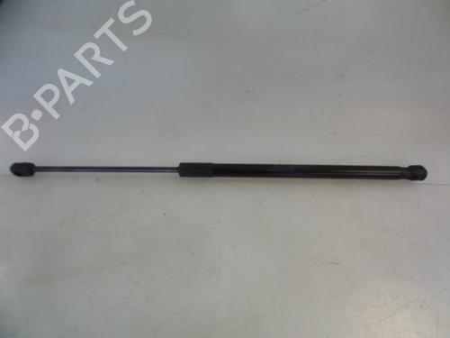 Used Tailgate lift support SKODA RAPID (NH3, NK3, NK6) 1.2 TSI (86 hp) 22484987