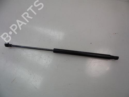 Used Tailgate lift support FIAT PUNTO EVO (199_) 1.3 D Multijet (84 hp) 22474565