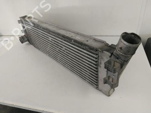 Used Intercooler RENAULT MEGANE II Estate (KM0/1_) 1.9 dCi (KMRG, KM1G, KM0G, KM2C) (120 hp) 22463439