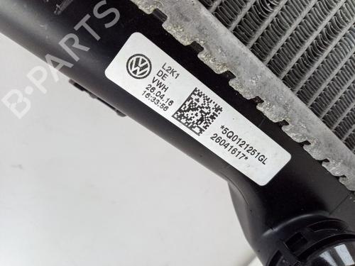 Køler VW PASSAT B8 Variant (3G5, CB5) 2.0 TDI | BP29618969M31