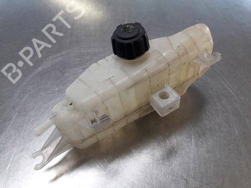 Used Expansion tank RENAULT CLIO III (BR0/1, CR0/1) 1.2 16V (BR02, BR0J, BR11, CR02, CR0J, CR11) (75 hp) 22459198