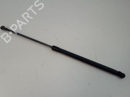 Used Tailgate lift support NISSAN QASHQAI II (J11, J11_) 1.5 dCi (110 hp) 22509562