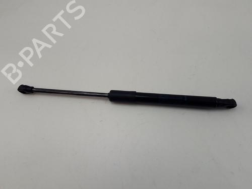 Used Hood lift support RENAULT TRAFIC III Van (FG_) 2.0 dCi 130 (FGMY) (131 hp) 22511741