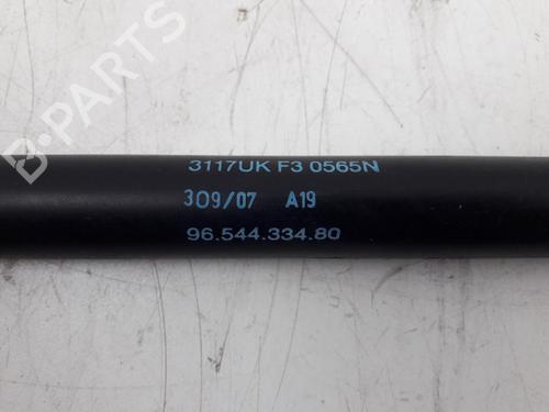 Tailgate lift support CITROËN C4 Picasso I MPV (UD_) 1.8 i 16V | BP22497464C138 