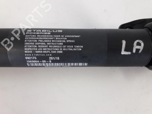 Tailgate lift support TESLA MODEL X (5YJX) 75D AWD | BP22505582C138 