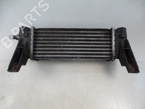 Used Intercooler FORD TRANSIT CONNECT (P65_, P70_, P80_) 1.8 Di (75 hp) 22479281