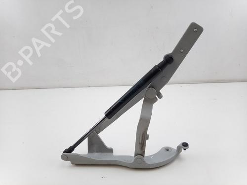 Hinge/Door check strap FIAT 500 (312_) 1.2 (312AXA1A) | BP28001402C146