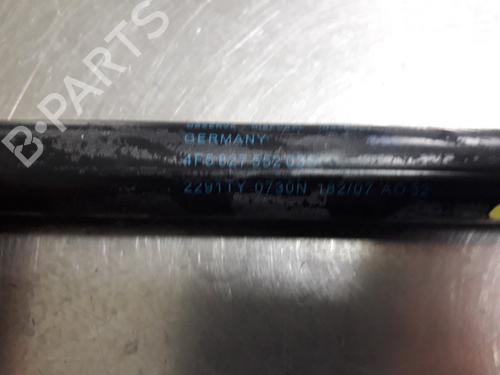 Tailgate lift support AUDI A6 C6 (4F2) 2.7 TDI | BP22455083C138 