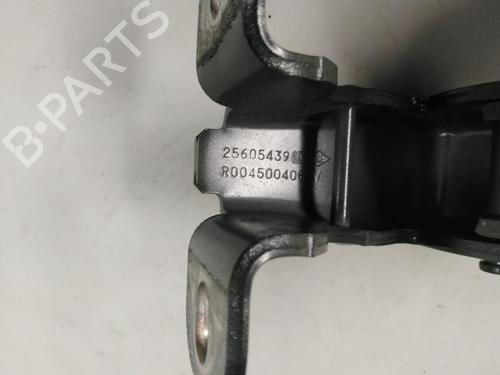Hinge/Door check strap RENAULT TRAFIC III Van (FG_) 2.0 dCi 130 (FGMY) | BP22513730C146 