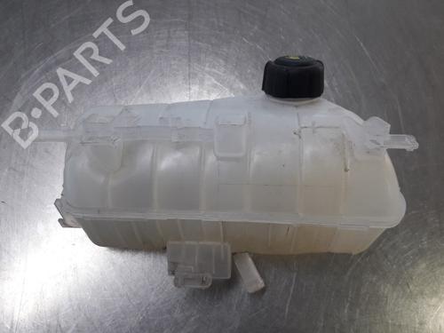 Used Expansion tank RENAULT KANGOO Express (FW0/1_) 1.5 dCi 90 (FW0G, FW05, FW08, FW11) (90 hp) 22487082