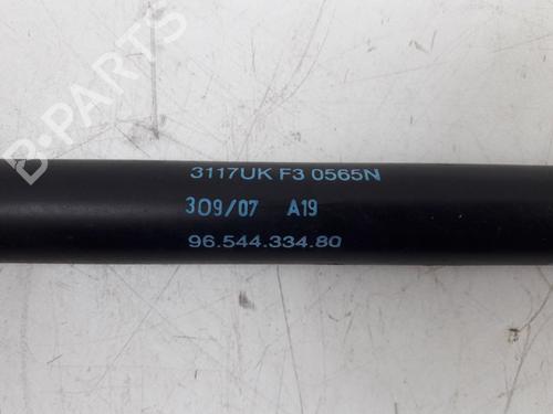 Tailgate lift support CITROËN C4 Picasso I MPV (UD_) 1.8 i 16V | BP22497463C138 