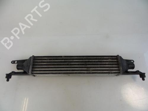 Used Intercooler FIAT PUNTO EVO (199_) 1.3 D Multijet (84 hp) 22476099