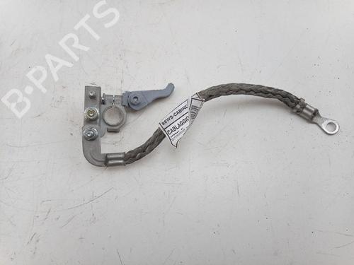 Cavo FIAT DUCATO Platform/Chassis (250_) 130 Multijet 2,3 D (131 hp) 31298238