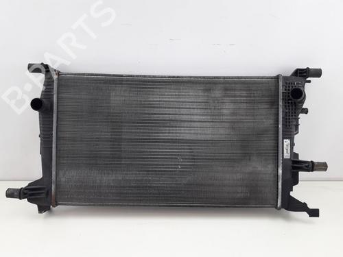 Used Water radiator RENAULT MEGANE III Grandtour (KZ0/1) 1.5 dCi (KZ09, KZ0D, KZ1G, KZ29, KZ14, KZ1W, KZ10, KZ1F,... (110 hp) 29075287