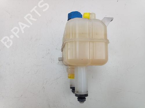 Ekpansionstank FIAT DUCATO Platform/Chassis (250_) 130 Multijet 2,3 D | BP31298247C120