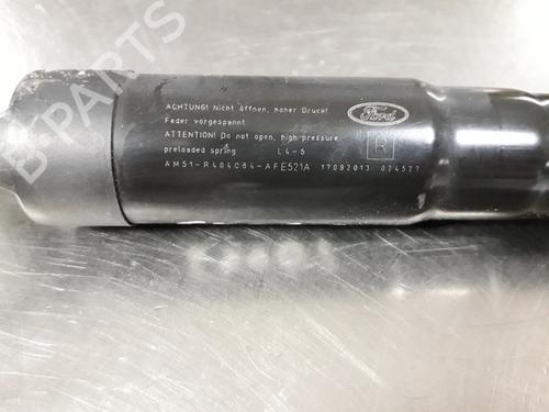 Tailgate lift support FORD C-MAX II (DXA/CB7, DXA/CEU) 1.6 EcoBoost | BP22489297C138 