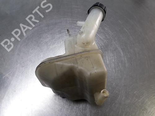 Expansion tank RENAULT LAGUNA II Grandtour (KG0/1_) 1.9 dCi (KG0E, KG0R) | BP22454946C120 
