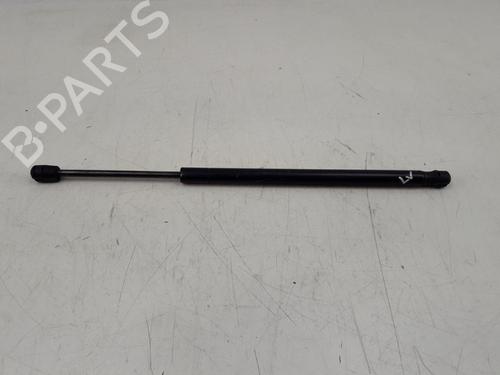 Used Hood lift support TESLA MODEL S (5YJS) 70 (320 hp) 22500448