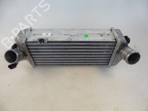 Used Intercooler HYUNDAI ix20 (JC) 1.4 CRDi (90 hp) 22478461