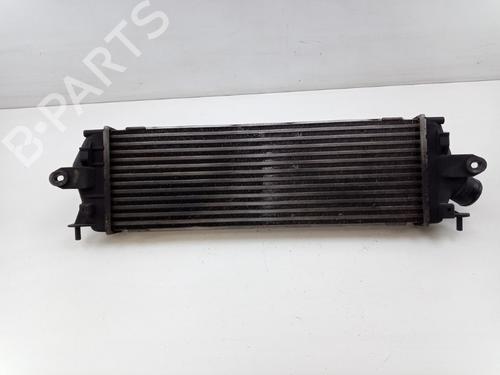 Intercooler OPEL VIVARO A Van (X83) 2.0 CDTI (F7) | BP22492737M30 