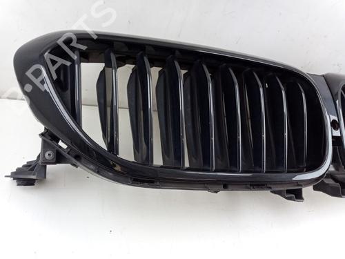 Grille BMW 5 (G30, F90) 540 i | BP29438369C40 