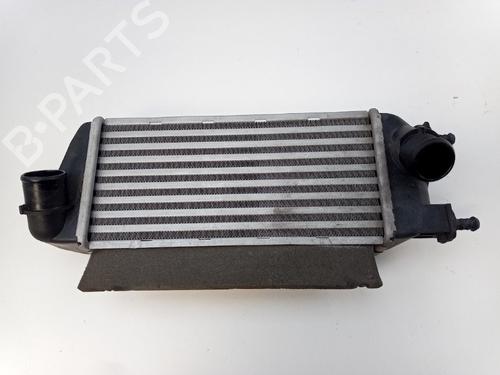 Used Intercooler FIAT 500 (312_) 0.9 (312AXG1A, 312.AXG11) (86 hp) 22492439