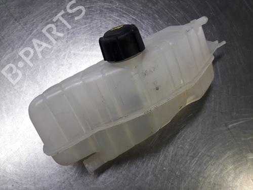 Used Expansion tank RENAULT CLIO III (BR0/1, CR0/1) 1.2 16V (BR02, BR0J, BR11, CR02, CR0J, CR11) (75 hp) 22454905