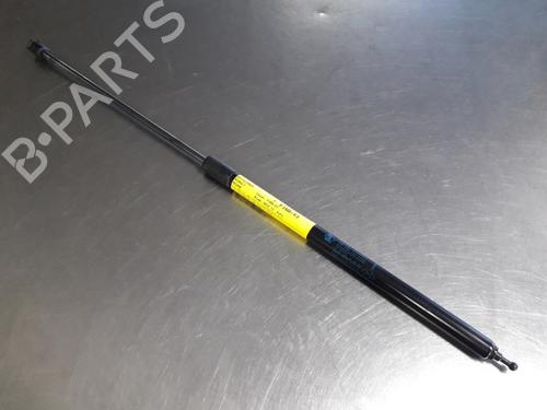 Used Hood lift support RENAULT MEGANE III Grandtour (KZ0/1) 1.5 dCi (KZ09, KZ0D, KZ1G, KZ29, KZ14, KZ1W, KZ10, KZ1F,... (110 hp) 22486304