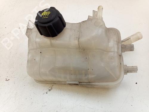 Vase D'Expansion Vase D'Expansion RENAULT MEGANE III Grandtour (KZ0/1) 1.5 dCi (KZ09, KZ0D, KZ1G, KZ29, KZ14, KZ1W, KZ10, KZ1F,... (110 hp) 36394035 36394035