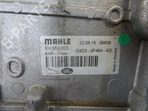 Egr JAGUAR XE (X760) 2.0 D AWD | BP22489533M69 