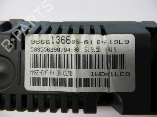 Display PEUGEOT PARTNER Box Body/MPV 1.6 HDi | BP22469721C48 