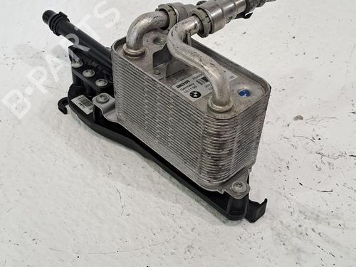 Used Hinge/Door check strap BMW 5 (E60) 530 i xDrive (272 hp) 25999490