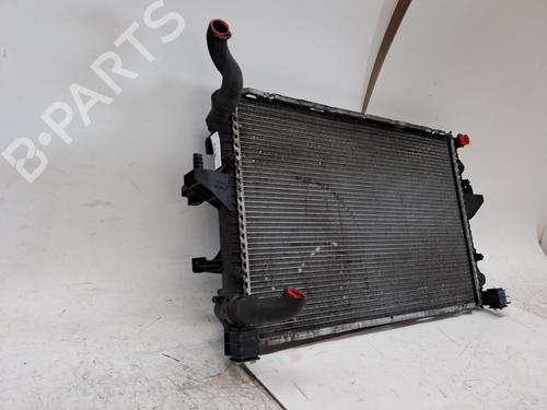 Radiateur à eau VW MULTIVAN T5 (7HM, 7HN, 7HF, 7EF, 7EM, 7EN) 2.5 TDI | BP23376786M31