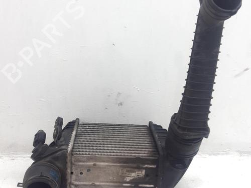 Used Intercooler Intercooler SEAT LEON (1M1) 1.9 TDI (110 hp) 34537162 34537162