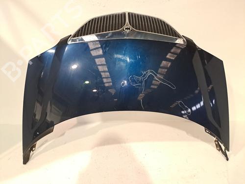 Used Hood LANCIA PHEDRA (179_) 2.0 D Multijet (179.AXL1B, 179.BXL1B) (136 hp) 23379692