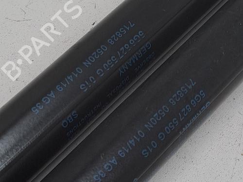 Tailgate lift support VW GOLF VII (5G1, BQ1, BE1, BE2) 1.5 TSI | BP23375789C138 