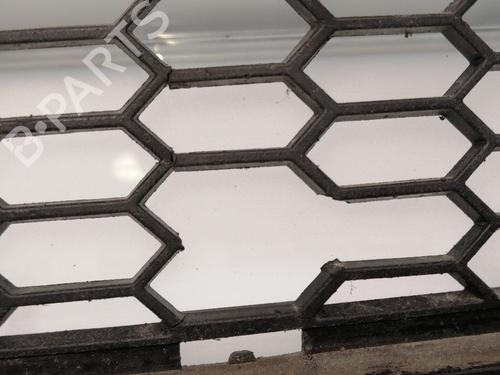 Grille BMW 1 Coupe (E82) 120 d | BP23384902C40 