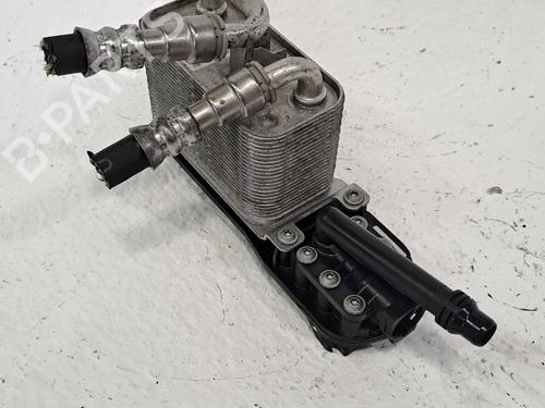 Hinge/Door check strap BMW 5 (E60) 530 i xDrive | BP25999490C146 