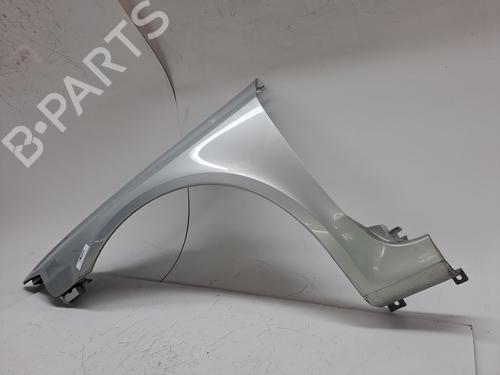 Left front fenders RENAULT LAGUNA II (BG0/1_) 1.9 dCi (BG08, BG0G) | BP23943164C41 