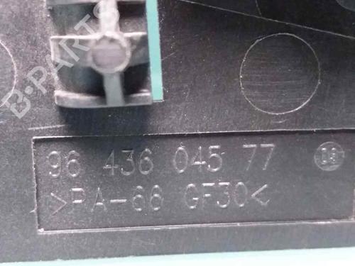Front left interior door handle CITROËN C3 I (FC_, FN_) 1.6 16V | BP27274194I13 