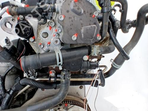 Engine SEAT IBIZA III (6L1) 1.9 TDI | BP30120811M1
